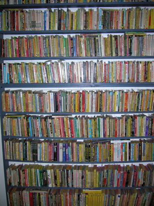 Shelf of Paperbacks