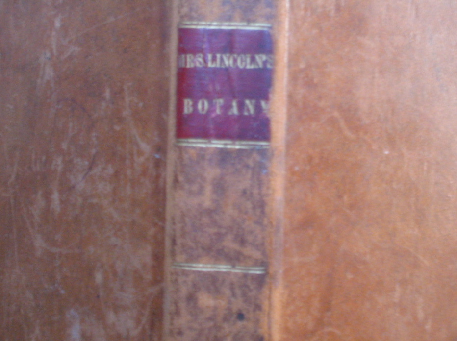 Mrs. Amelia Lincoln's Familiar Lectures on Botany